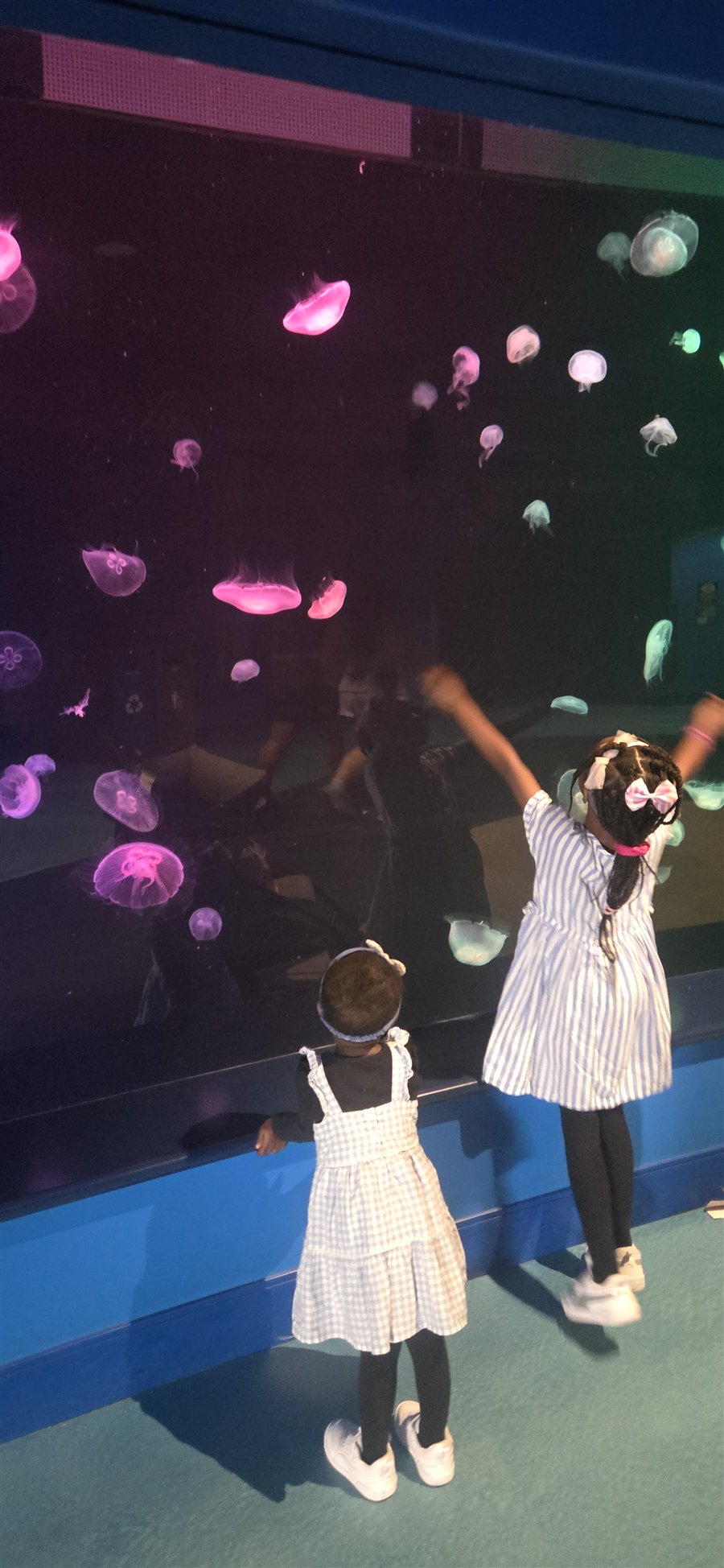 The kids at the jellyfish tank at the Georgia Aquarium