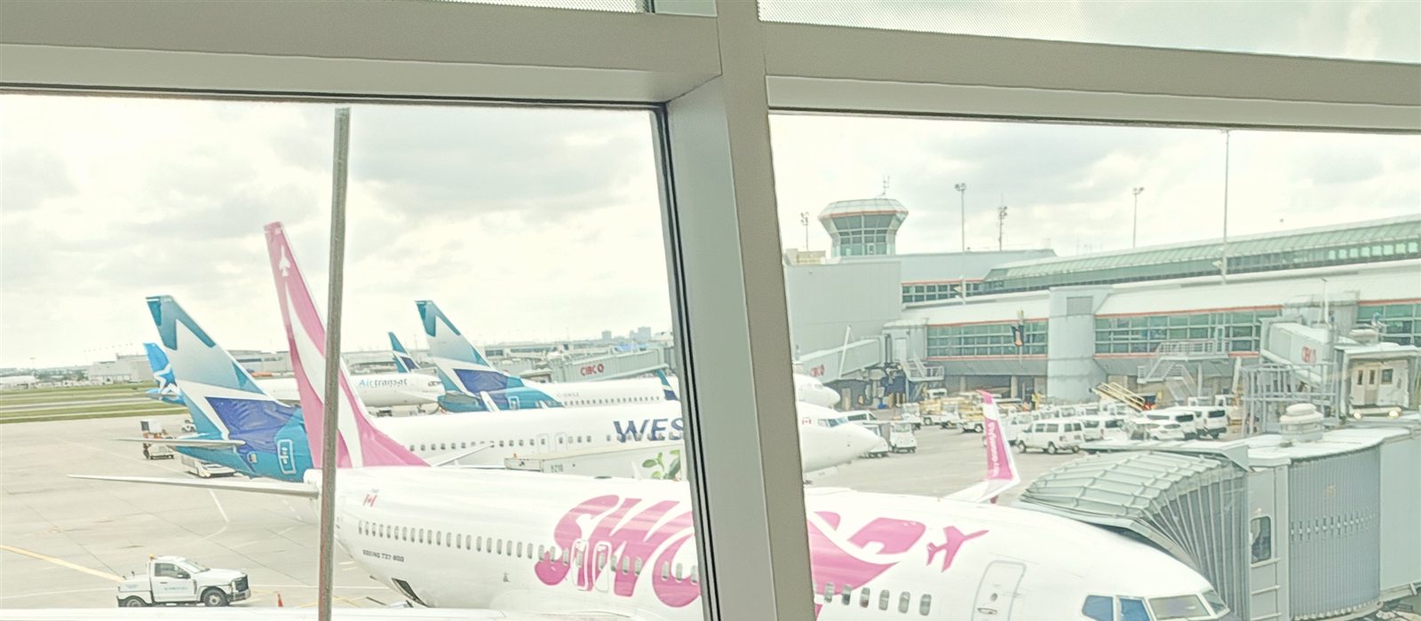 Choosing an airline for a family trip: my economy ratings and tips