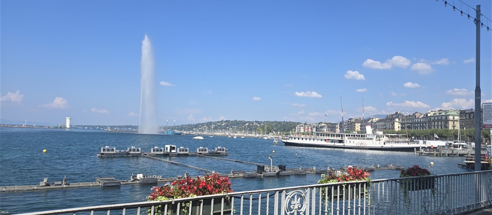 Geneva day trip from Lyon with kids: car, train, prices and what to do