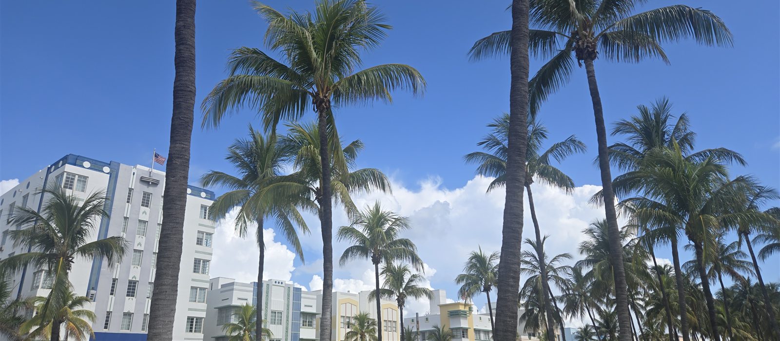 Miami day trip with kids: the bus tour and what helped
