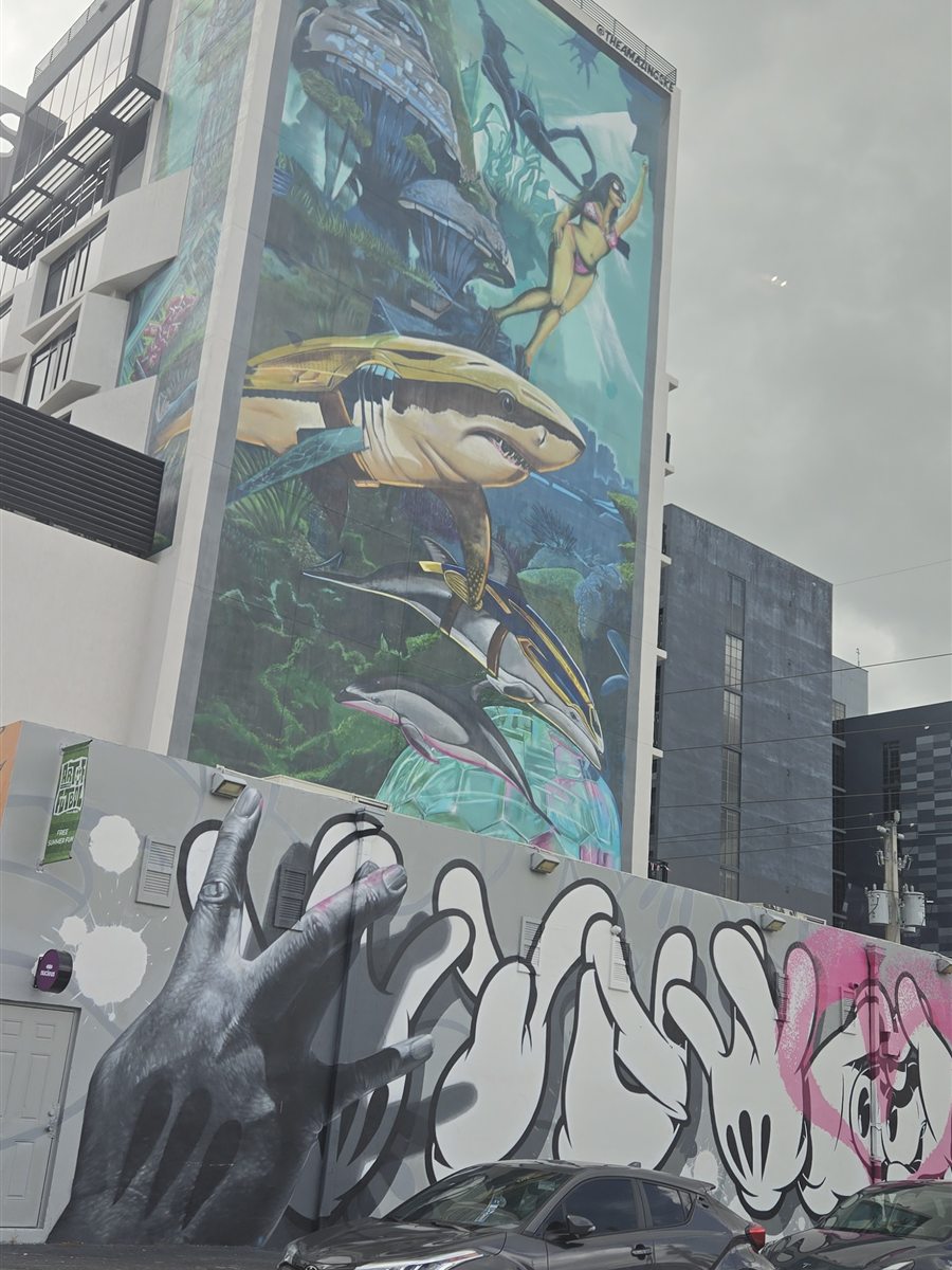 Murals in Wynwood, Miami