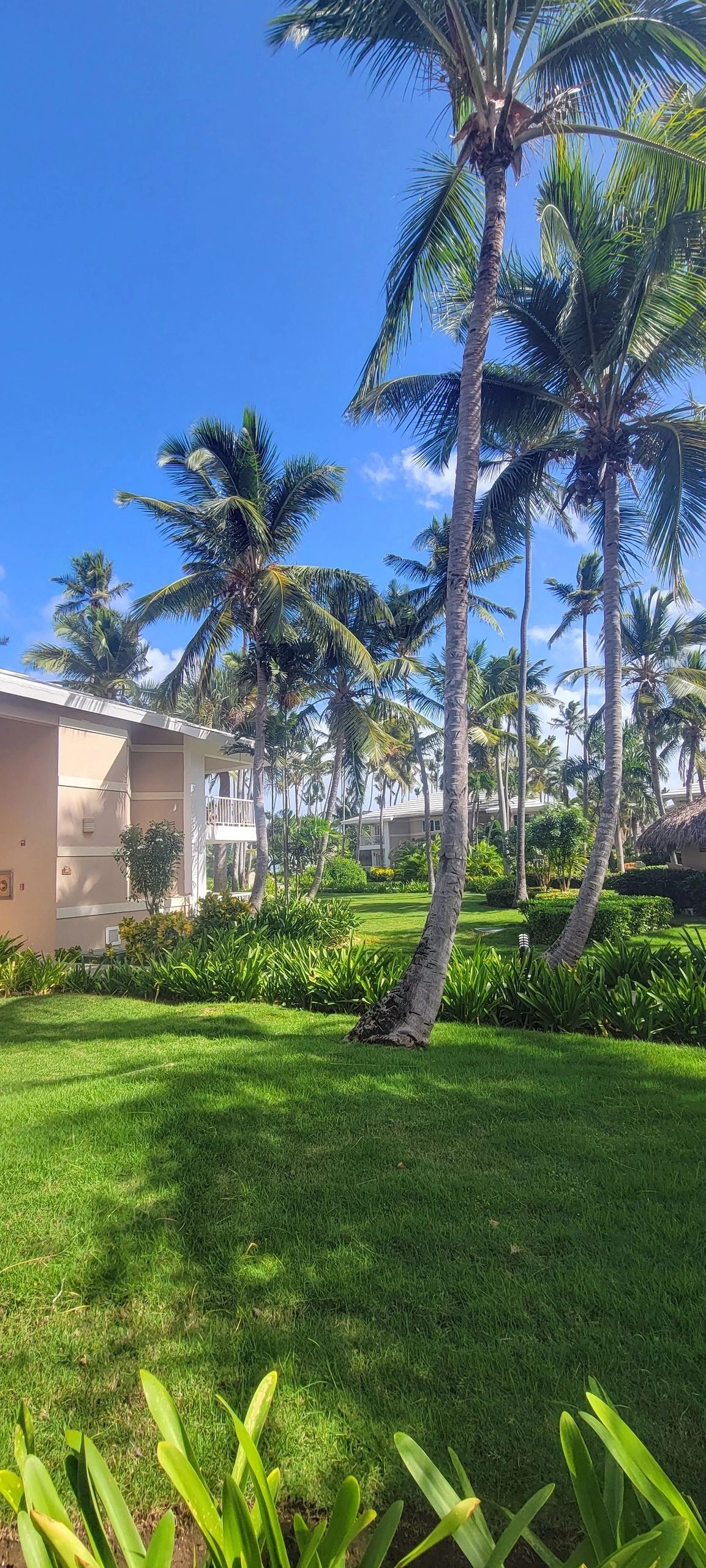Planning a Family Vacation? Pick an All-Inclusive Resort
