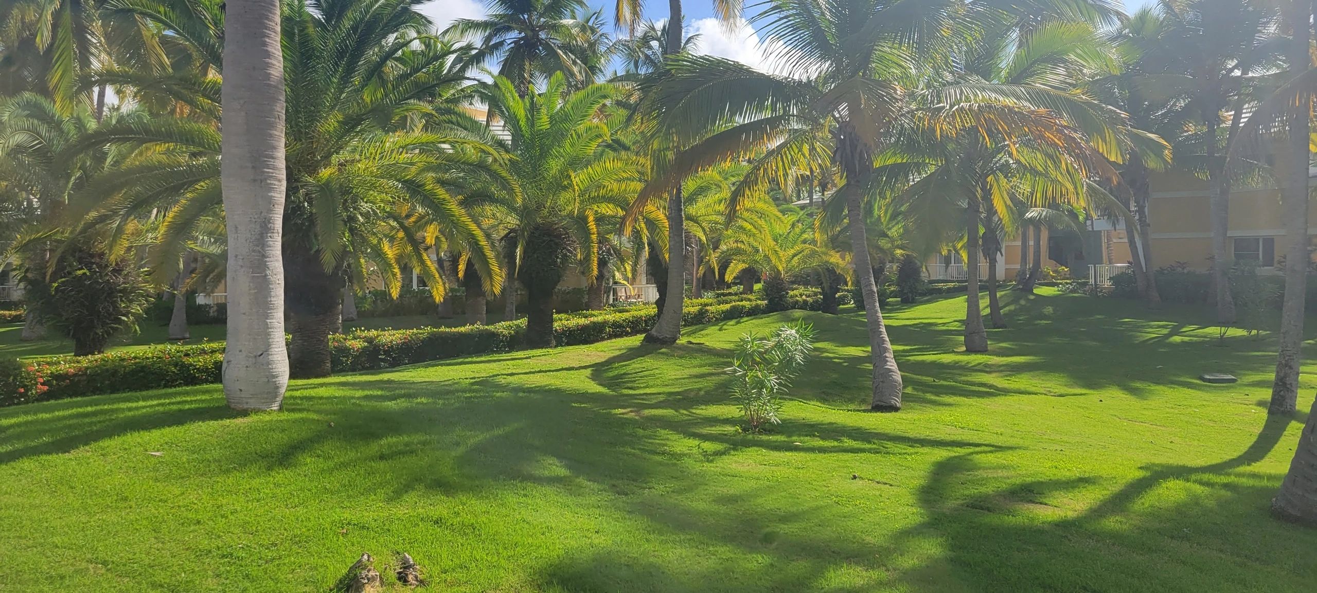 Punta Cana (Dominican Republic) City Guide