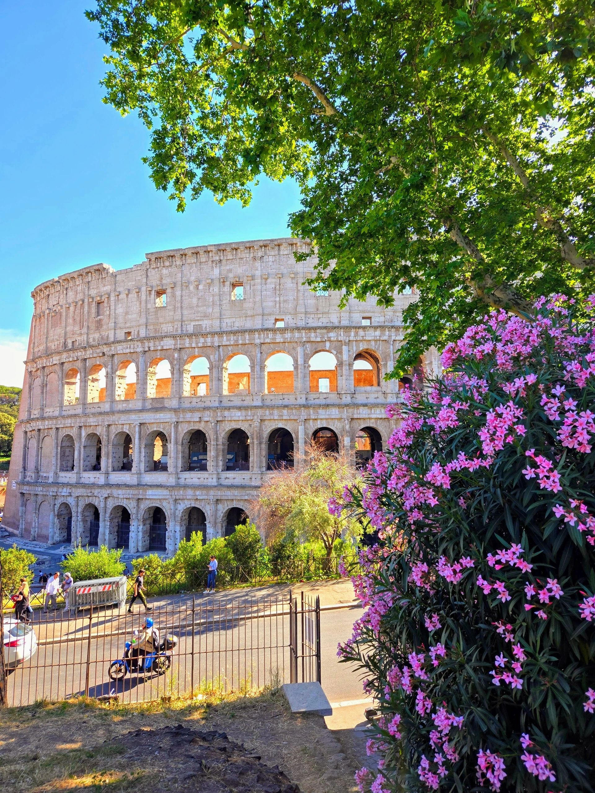 Rome (Italy) City Guide