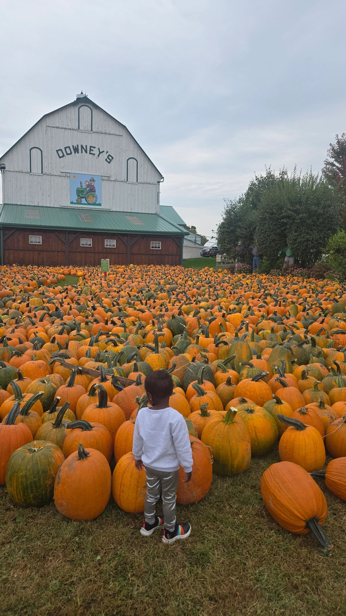 5 Family-Friendly Things to Do This Fall in Ontario, Canada 🍁